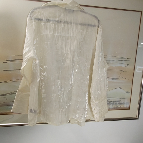 Addition-Elle Chiffon Long Sleeve Blouse Size 22 - Picture 2 of 8